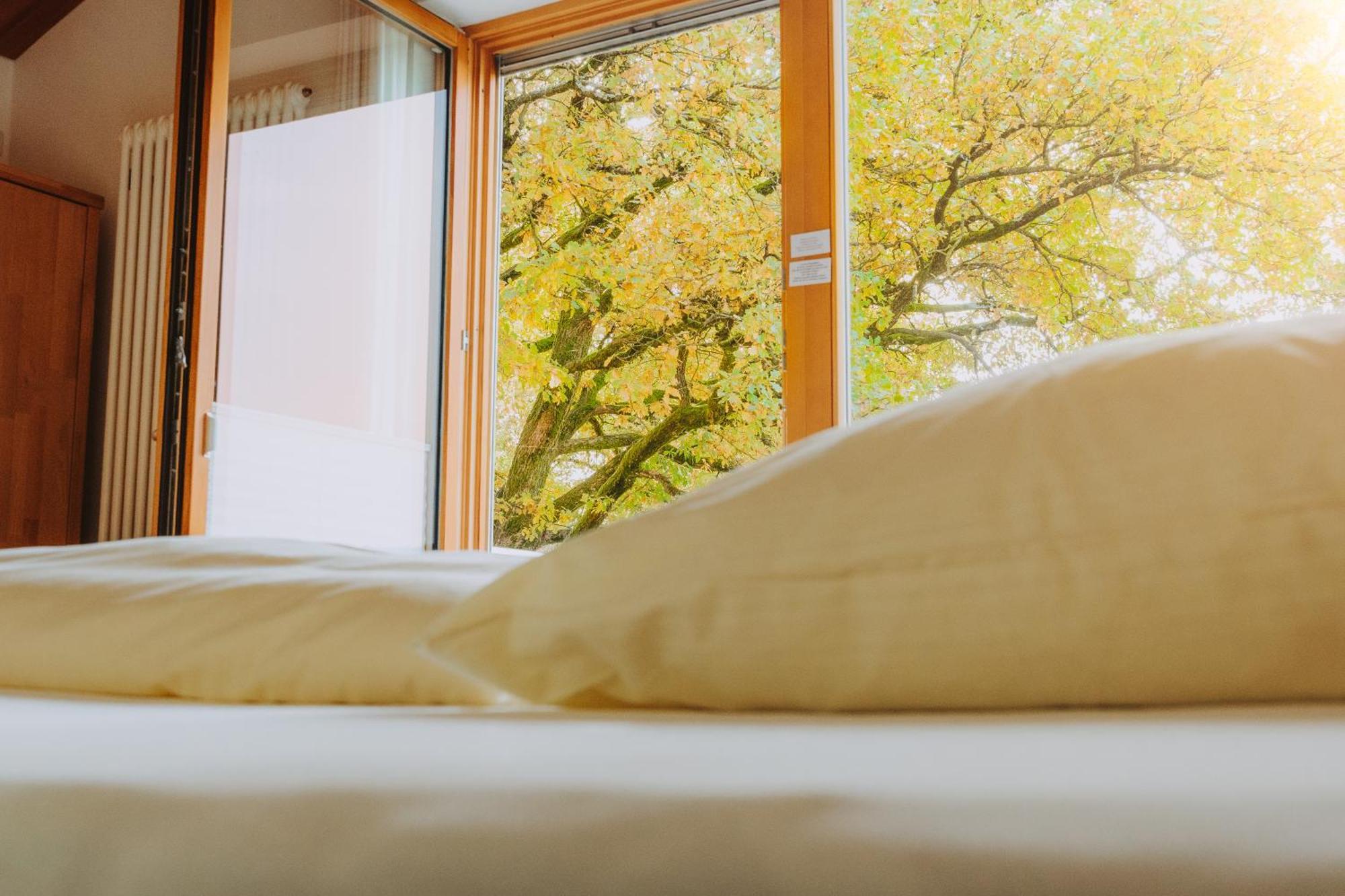 Lindenhaus Hotel Цвизел Екстериор снимка